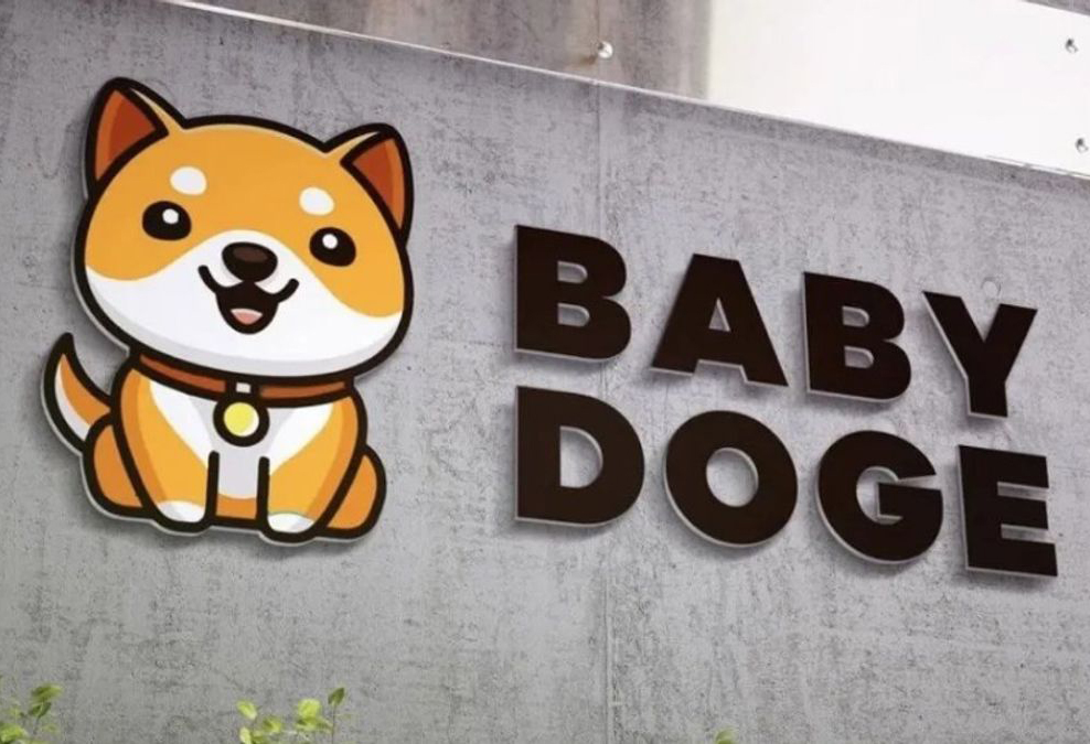 بیبی دوج کوین Baby Doge Coin