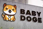 بیبی دوج کوین Baby Doge Coin